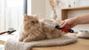 Double Side Steel Pet Comb - Dual-Sided Stainless Steel Grooming Comb