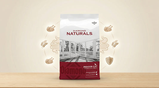 Diamond Naturals Cat Food – Natural Nutrition for Healthy Digestion & Vitality (1KG / 3KG) RizFraz World
