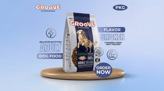 Groove Adult Dog Food 1.2KG – Complete Daily Nutrition with Chicken or Beef for Adult Dogs RizFraz World