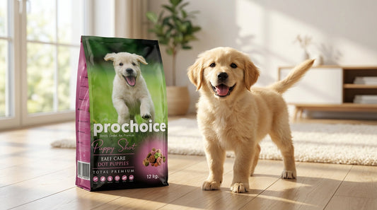 PRO CHOICE Puppy Food – Complete Nutrition for Growing Puppies | 3KG & 12KG RizFraz World