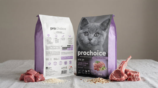 PRO CHOICE Lamb & Rice Kitten Food 2KG – Complete Nutrition for Healthy Kitten Growth RizFrazWorld