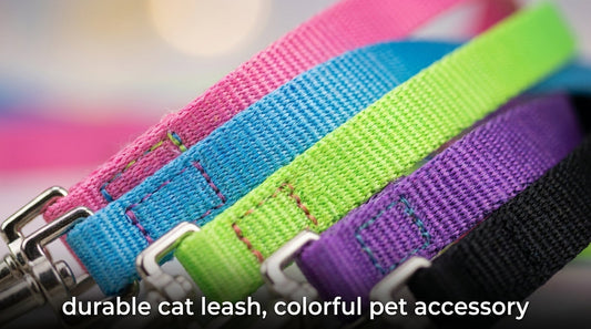 1cm Cat Rainbow Leash (Multi-Color) – Lightweight & Stylish Walking Leash for Cats RizFrazWorld