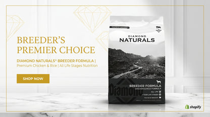 Diamond Naturals Breeder Formula 19.96KG - Premium Dry Dog Food RizFraz World