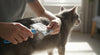 Steel Slicker Brush for Cats & Dogs (S, M, L, XL) – Durable Grooming Brush for Shedding & Detangling