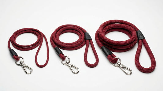 Pet Rope Leash for Cats & Dogs (2mm, 4mm, 10mm) – Strong, Durable & Comfortable Walking Lead RizFraz World