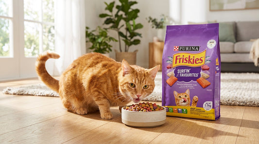 Purina Friskies Surfin’ Favourites Adult Cat Food – Ocean Fish Flavors for Strong Muscles & Healthy Coat (400g / 1kg / 2.5kg) RizFraz World
