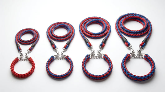 Rope Leash with Choke Collar for Dogs (S, M, L, XL) – Strong Training & Control Leash RizFraz World