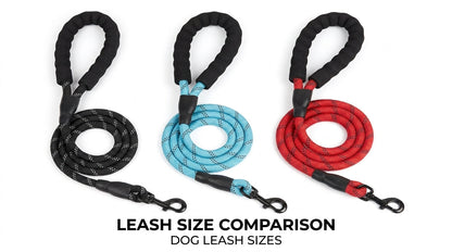 Imported Round Rope Leash with Rubber Handle for Dogs (S, M, L) – Strong, Comfortable & Durable RizFraz World