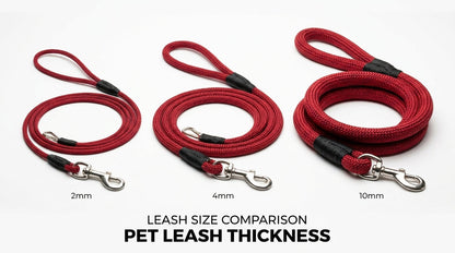 Pet Rope Leash for Cats & Dogs (2mm, 4mm, 10mm) – Strong, Durable & Comfortable Walking Lead RizFraz World