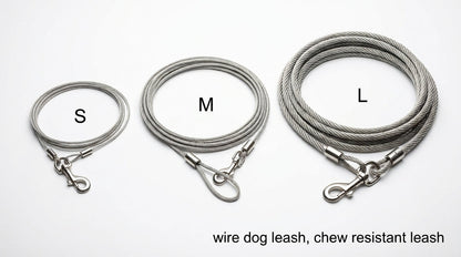 Wire Dog Leash (S, M, L) – Strong & Durable Chew-Resistant Pet Leash for Dogs RizFraz World